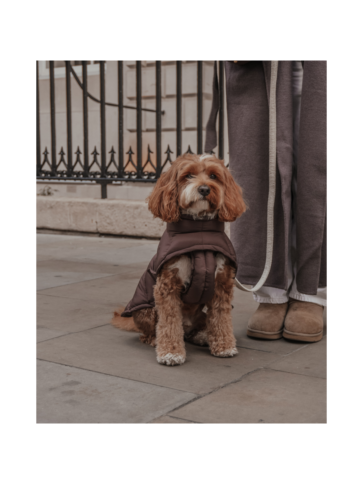 The Capsule Puffer Dog Coat – Chocolate