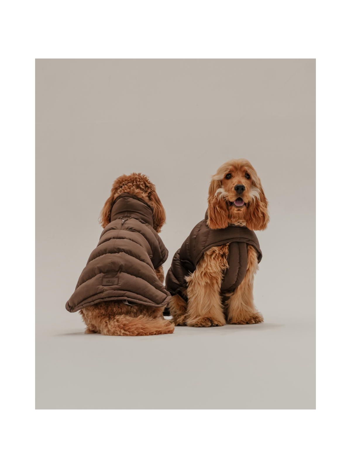 The Capsule Puffer Dog Coat – Chocolate