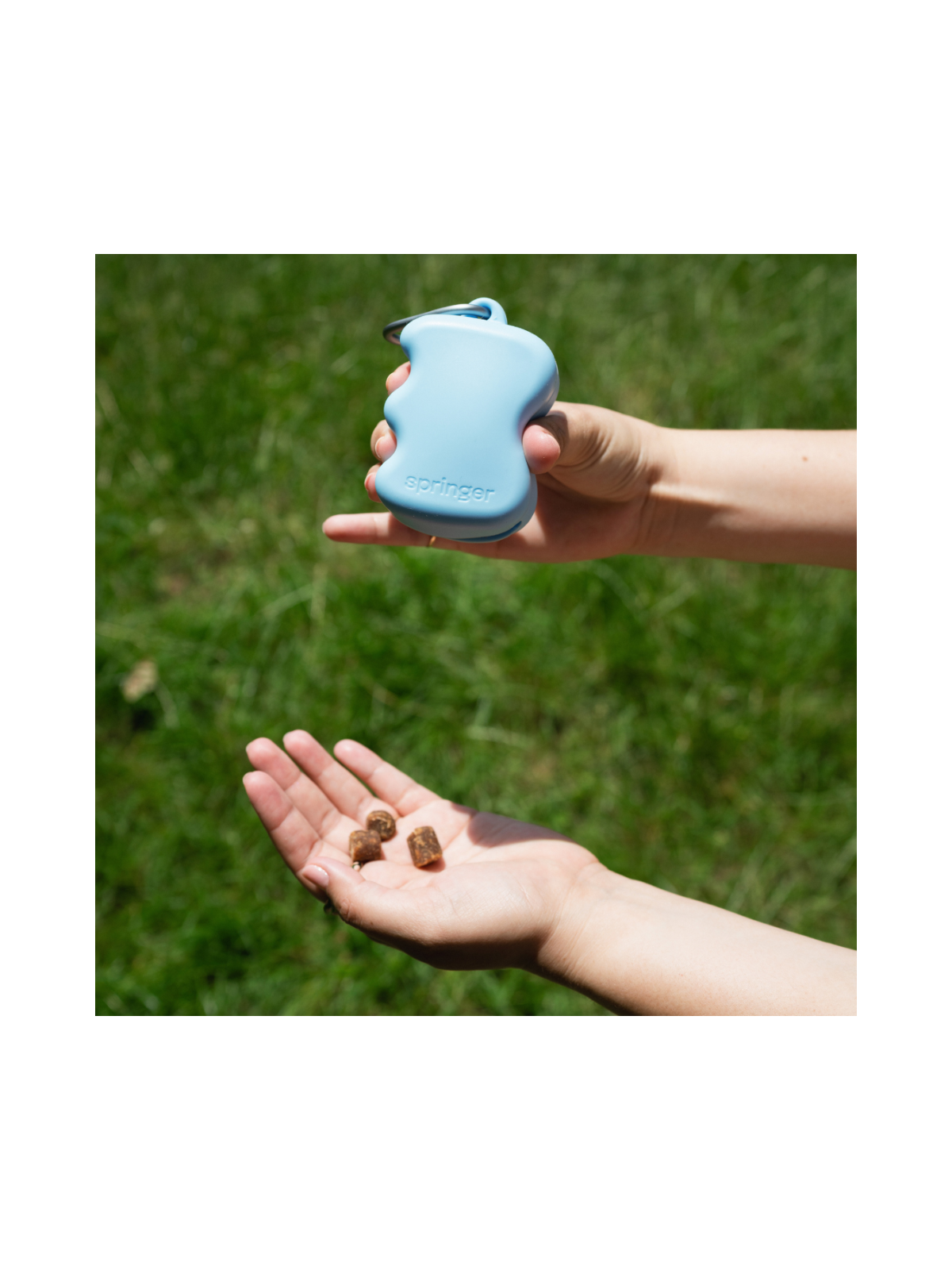 Silicone Treat Pouch Dispenser - Sky Blue
