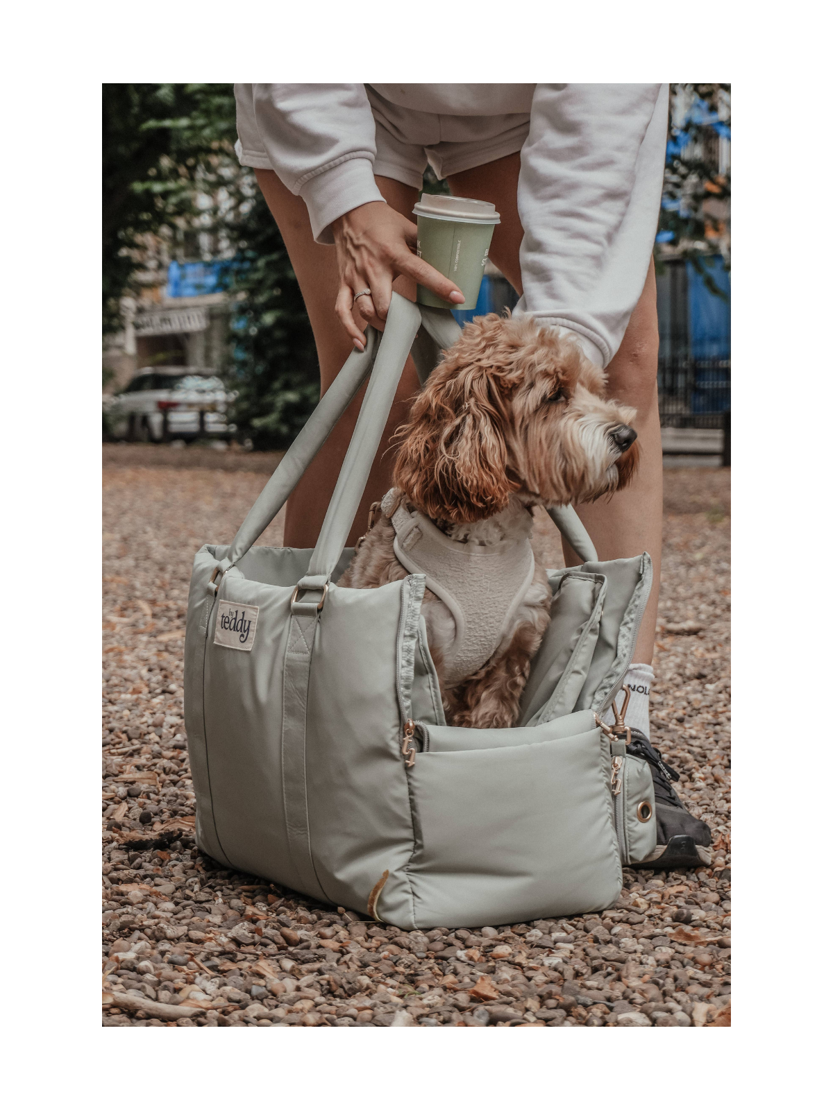 Puffer Dog Carrier – Matcha