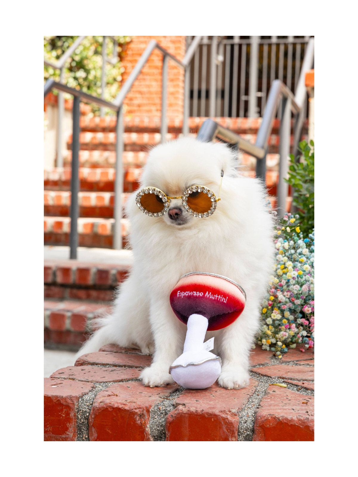 Espawsso Muttini Dog Toy