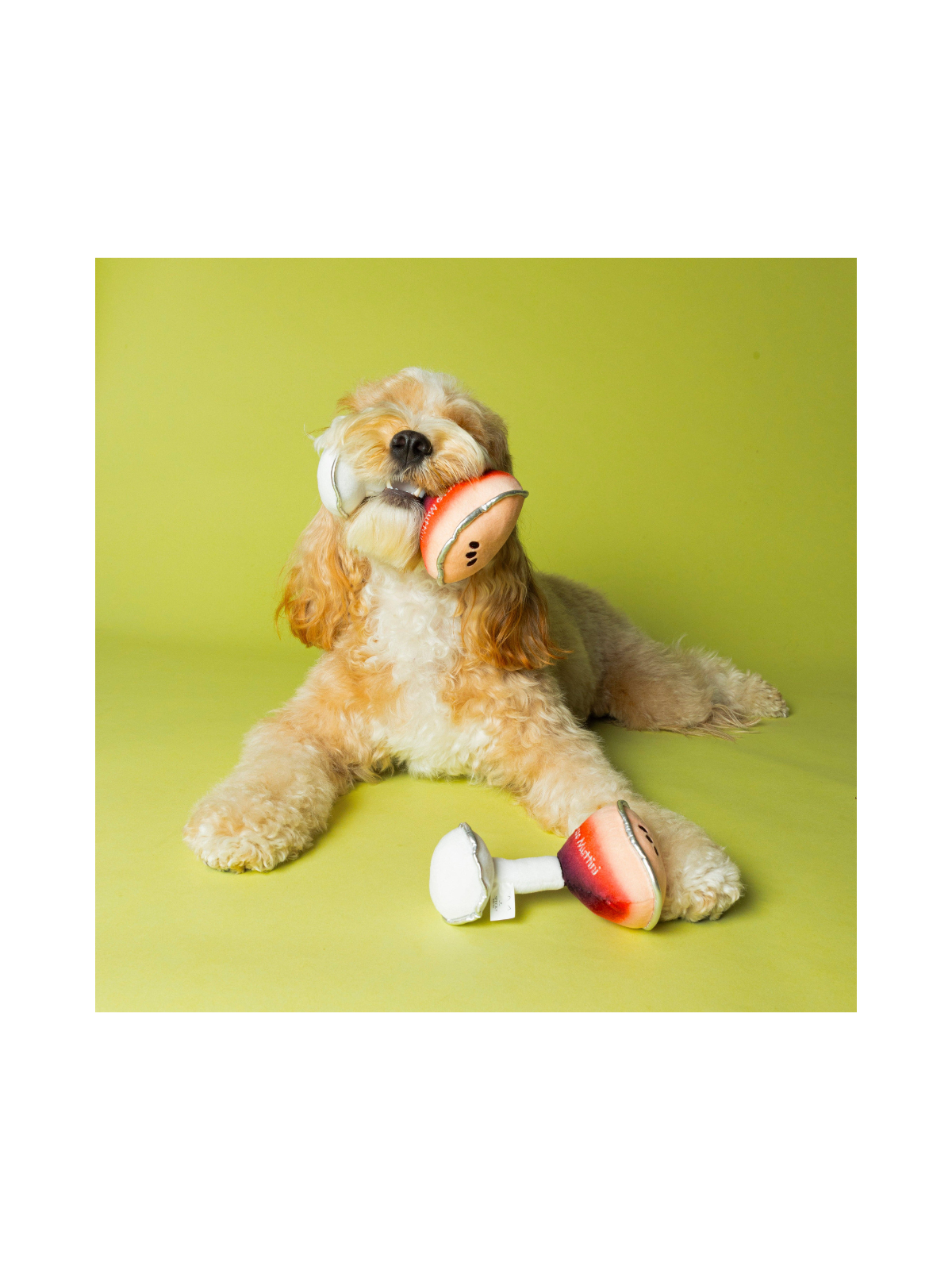 Espawsso Muttini Dog Toy