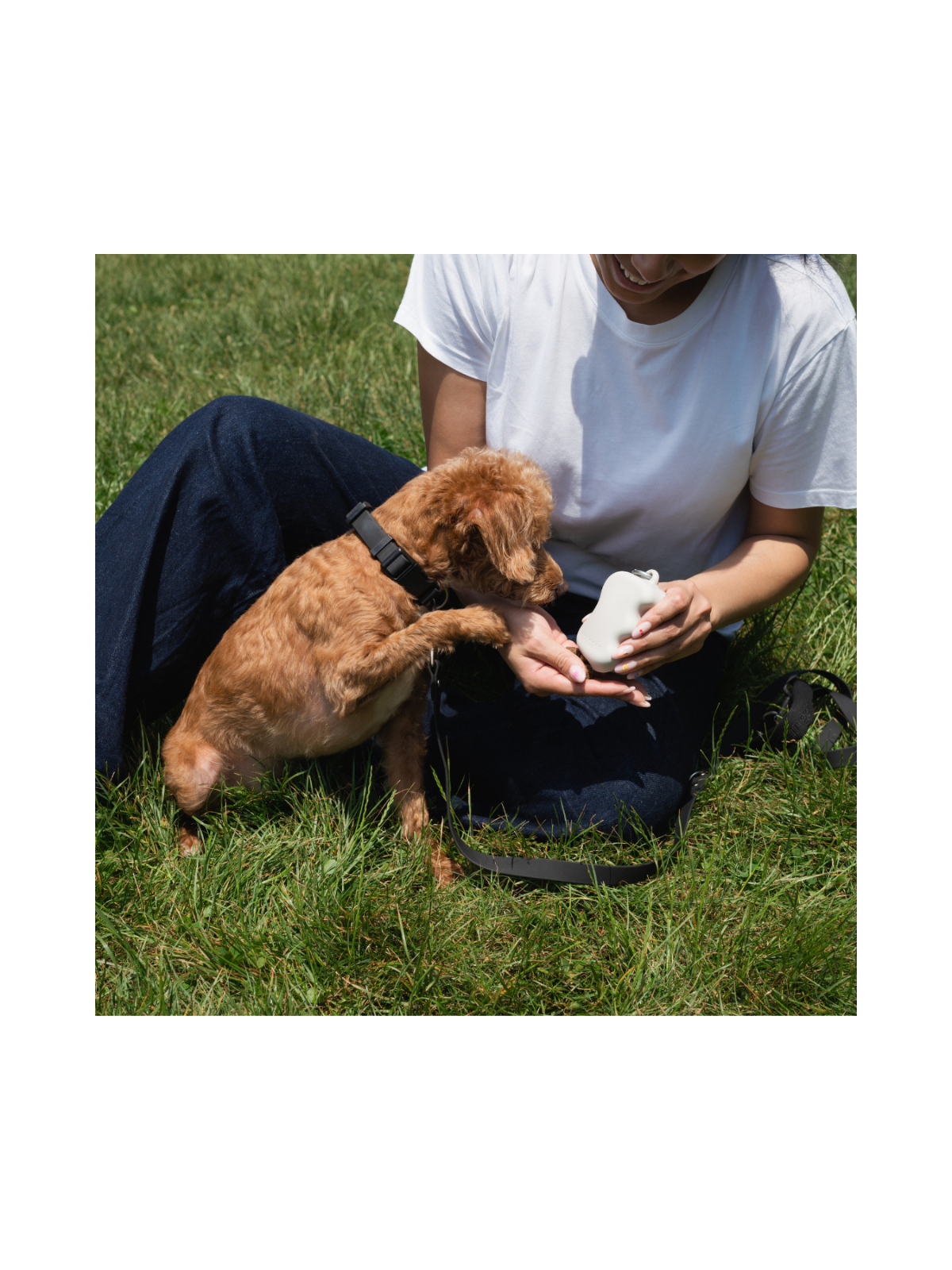 Silicone Treat Pouch Dispenser - Oat