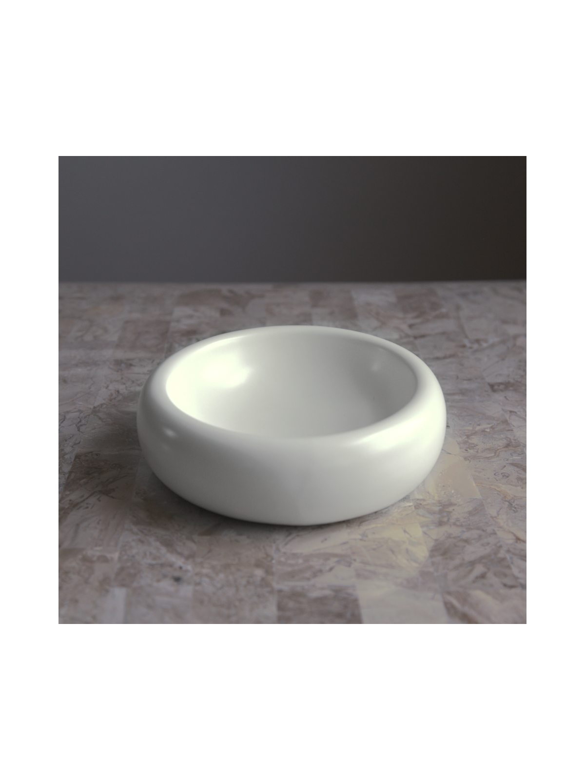 Halo Pet Bowl