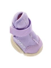 Caesar 1 Dog Sneaker – Taro