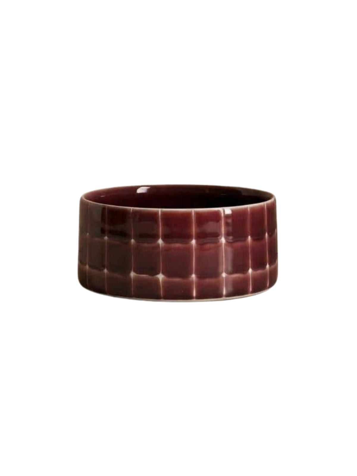 Pool Stoneware Pet Bowl – Burgundy