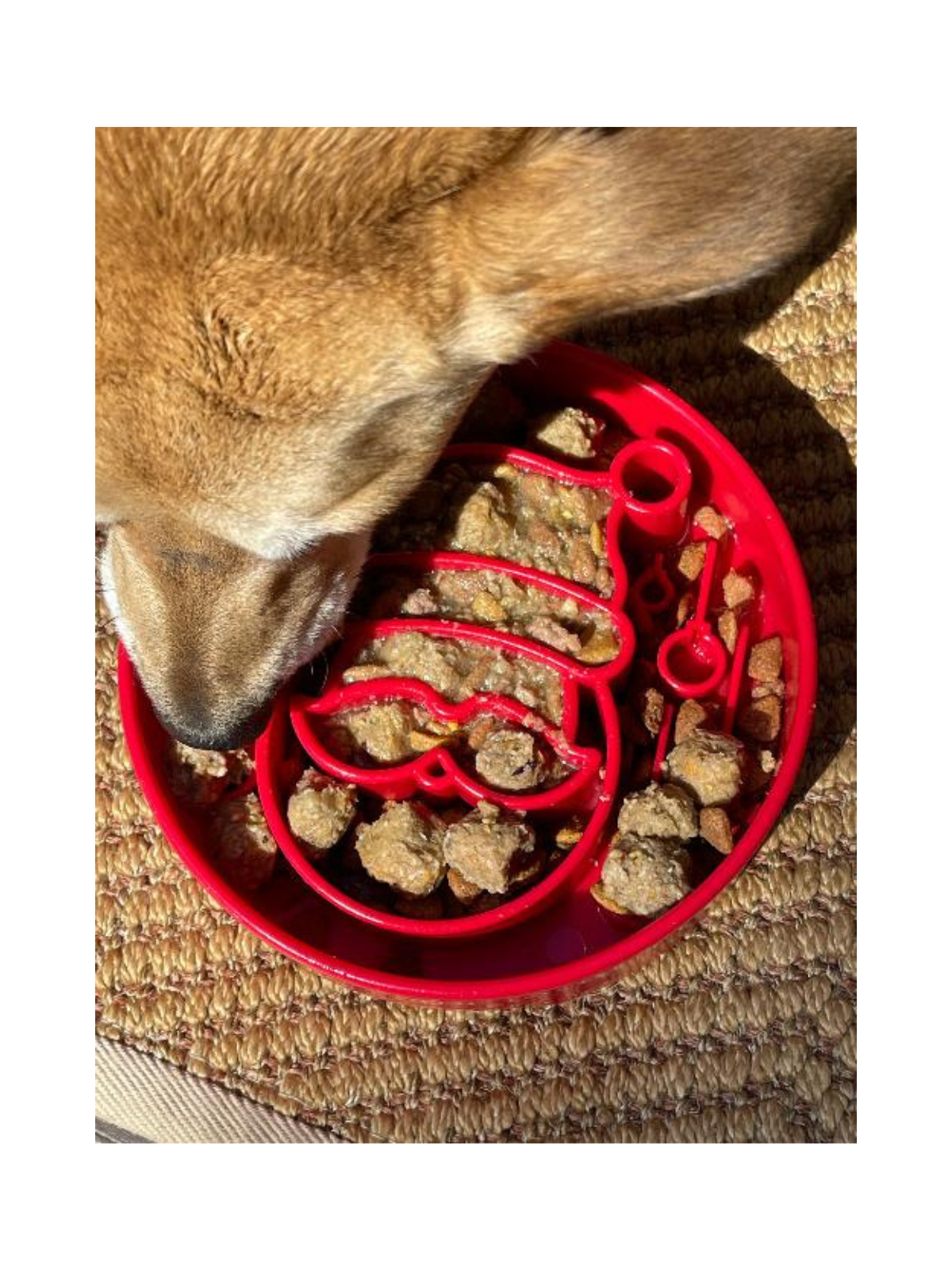 Santa Enrichment Slow Feeder Bowl