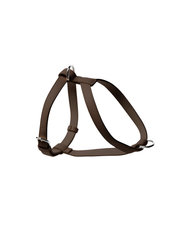 Harness – Cocoa