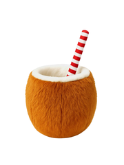 Coco Loco Enrichment Toy