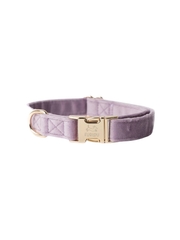Velvet Dog Collar - Lilac