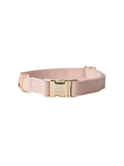 Canvas Dog Collar - Powder Rose