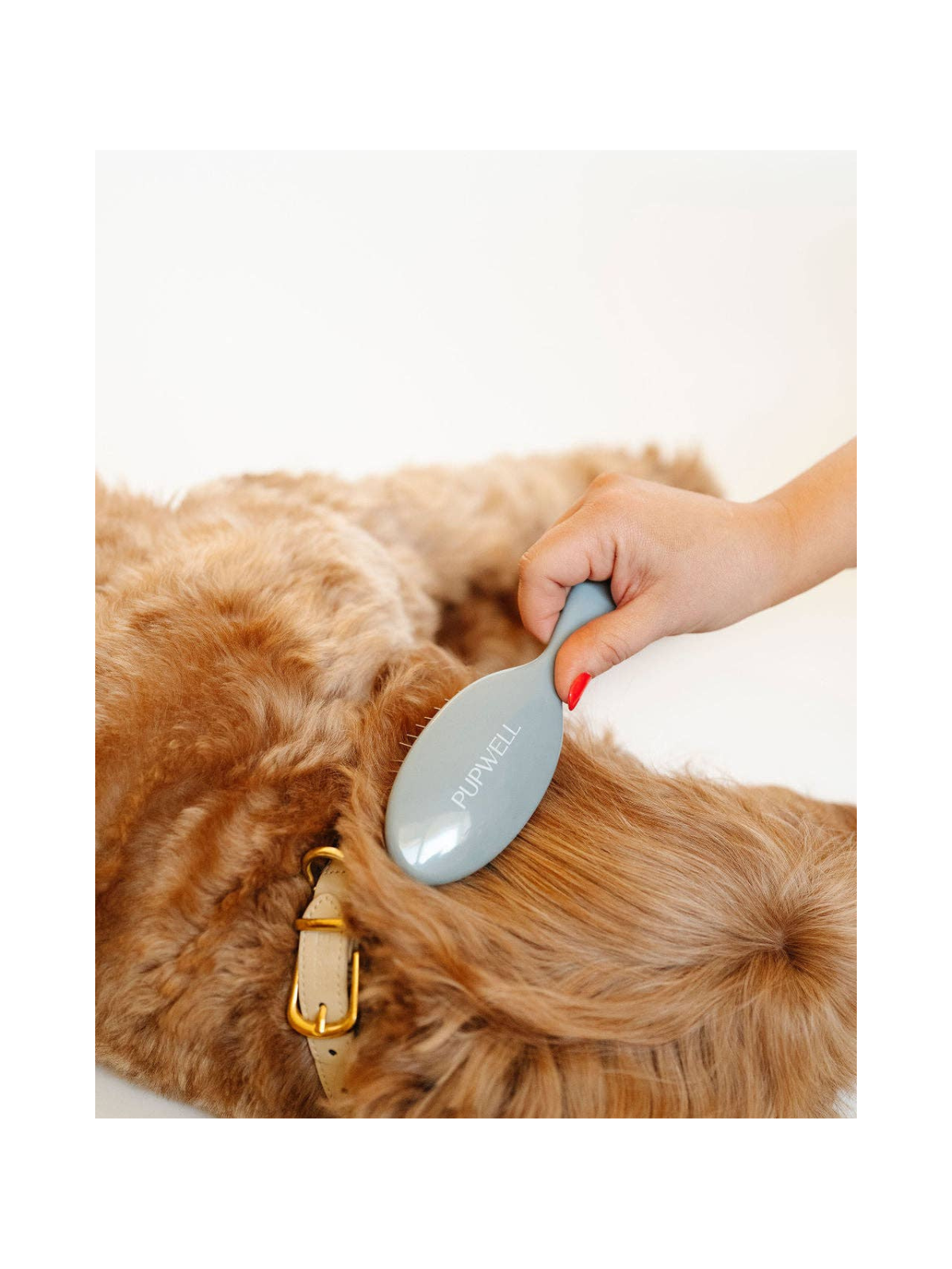 Puppy Grooming Kit