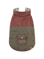 Olive Reversible Dog Jacket