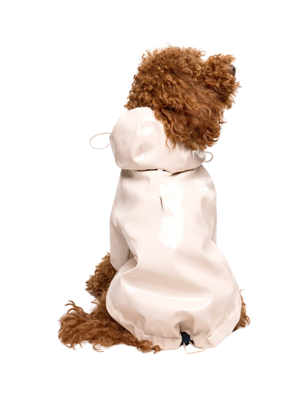 Cream Dog Raincoat