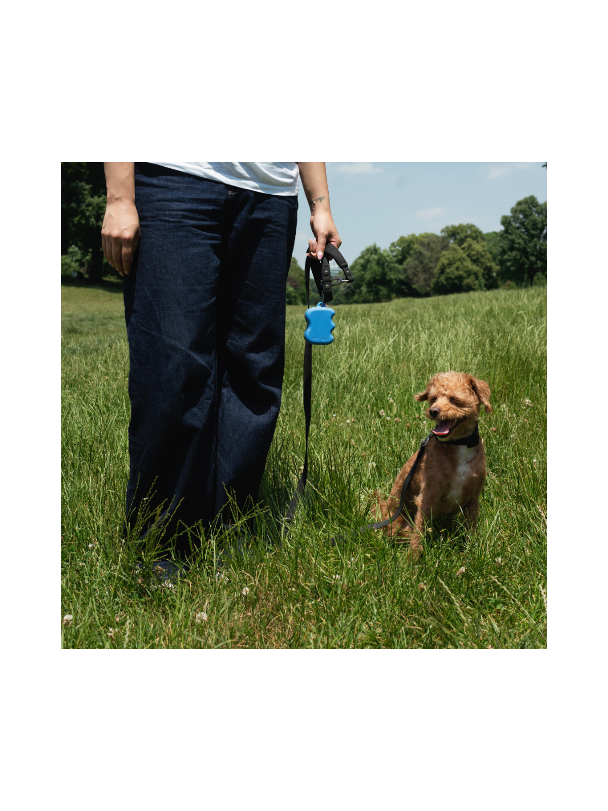 Silicone Treat Pouch Dispenser - Blueberry