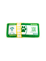 Bark Bucks Squeaky Toy