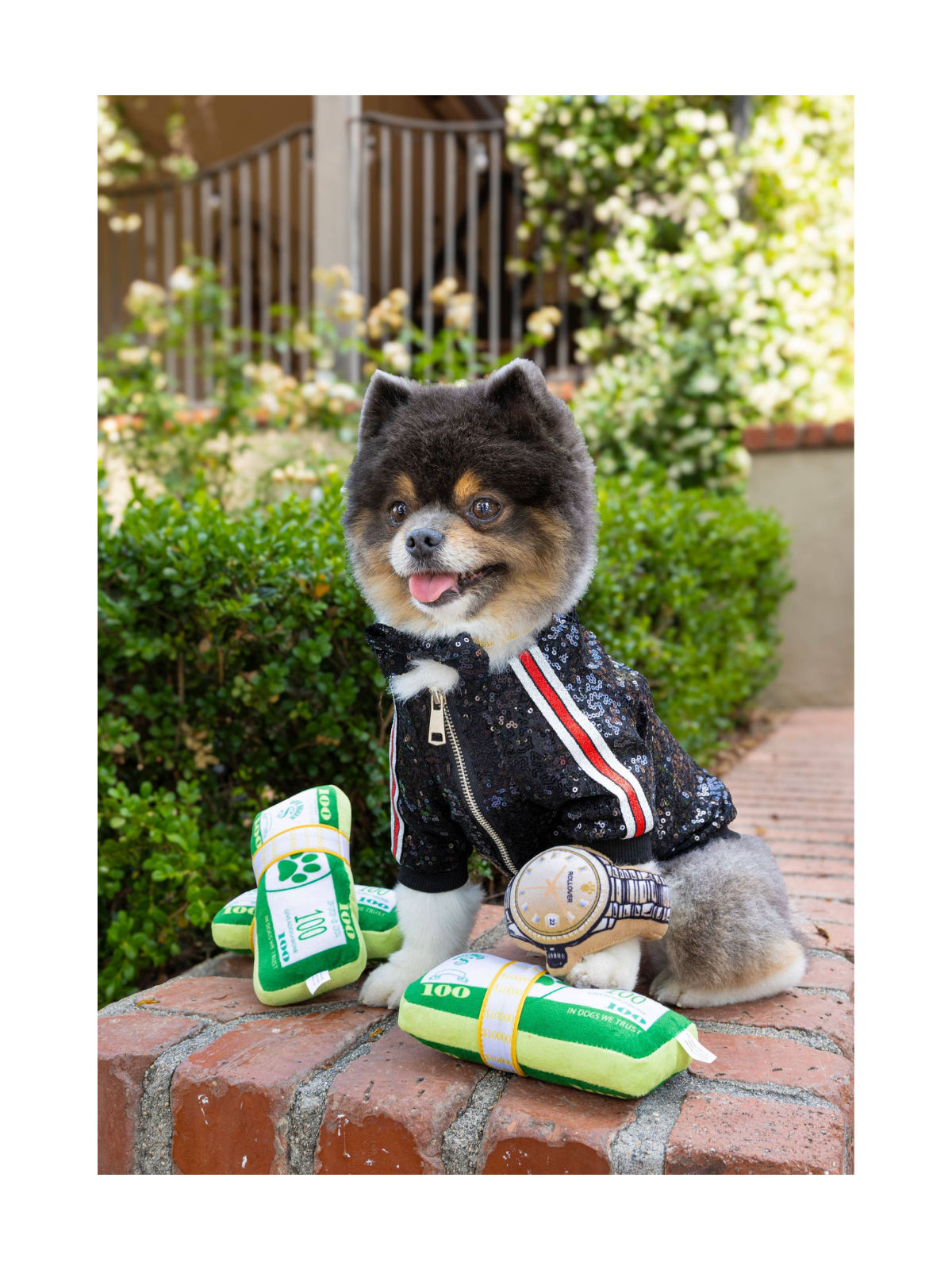Bark Bucks Squeaky Toy