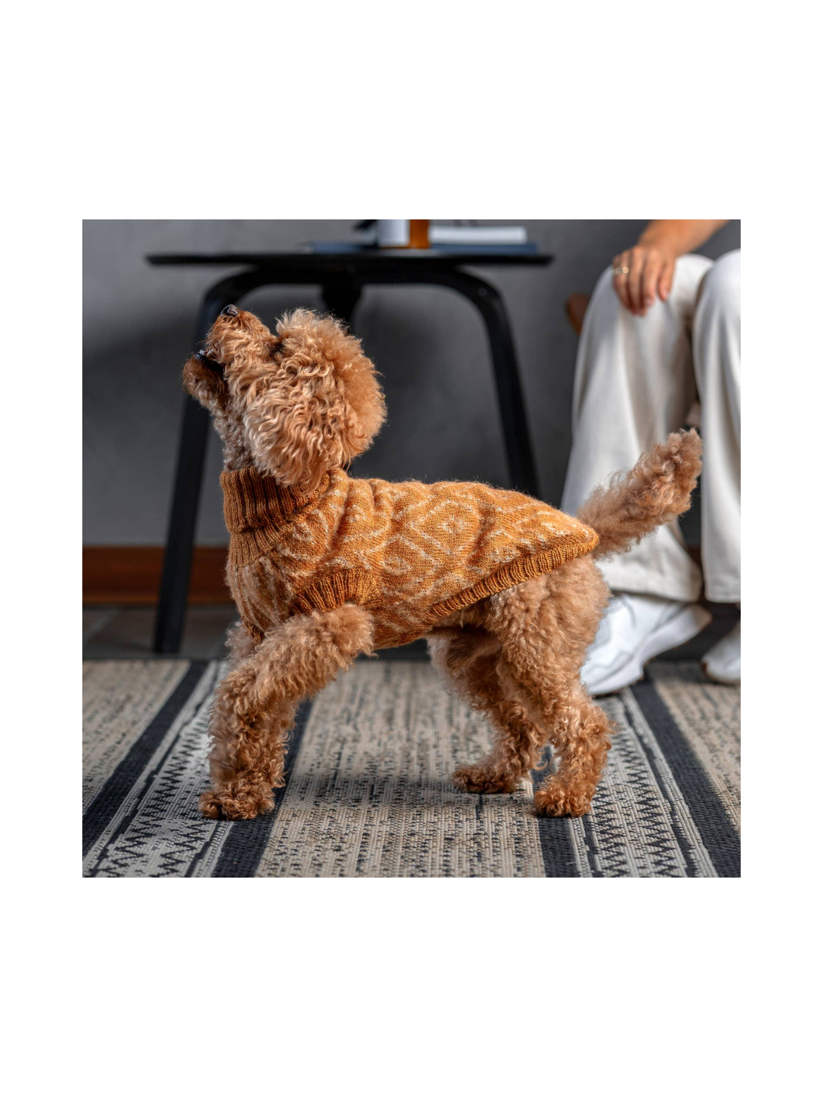 Golden Ochre Alpaca Dog Sweater