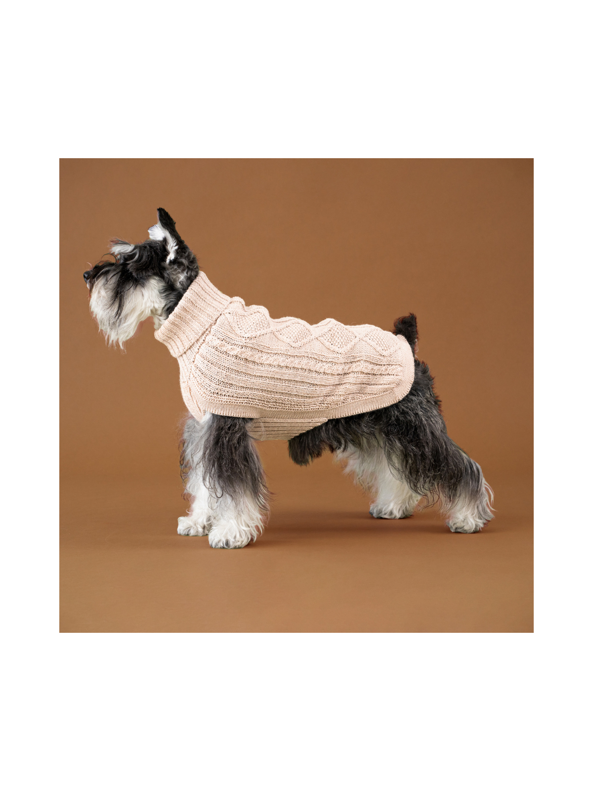 Aran Knit Alpaca Dog Sweater – Ivory