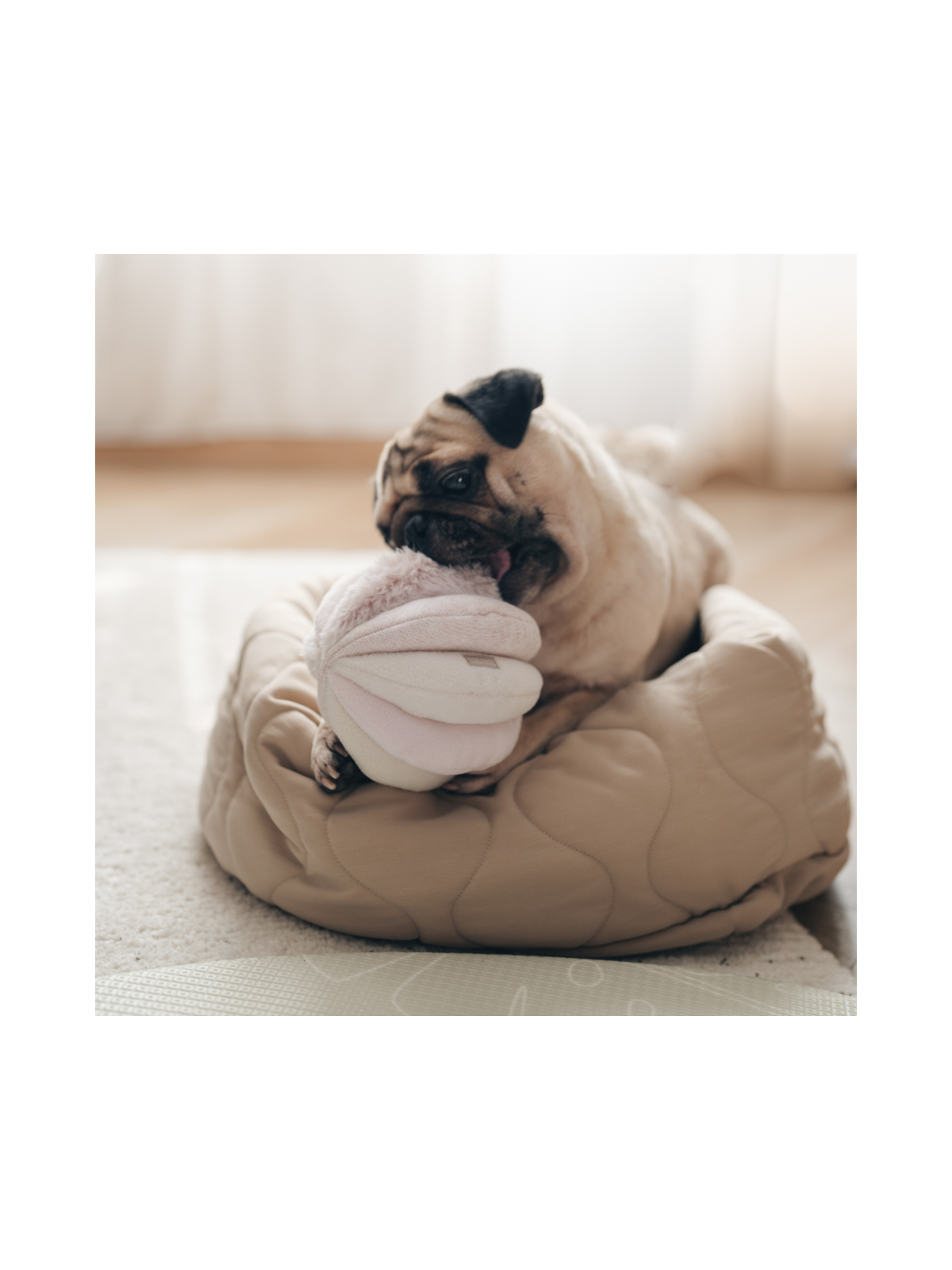 Toto Snuffle Ball