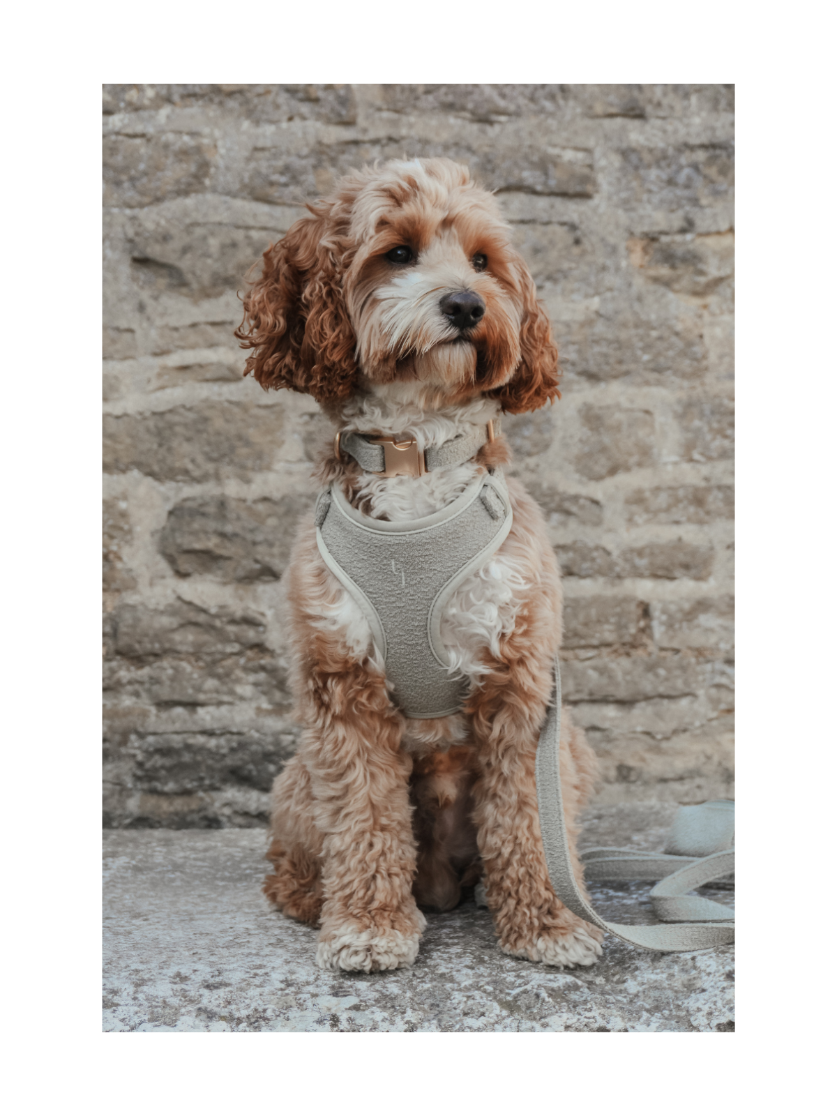Bouclé Adjustable Harness – Matcha