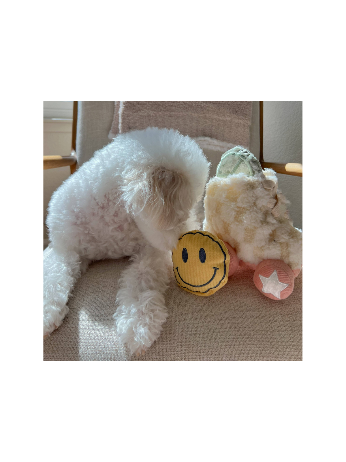 Roller Skate Snuffle Toy