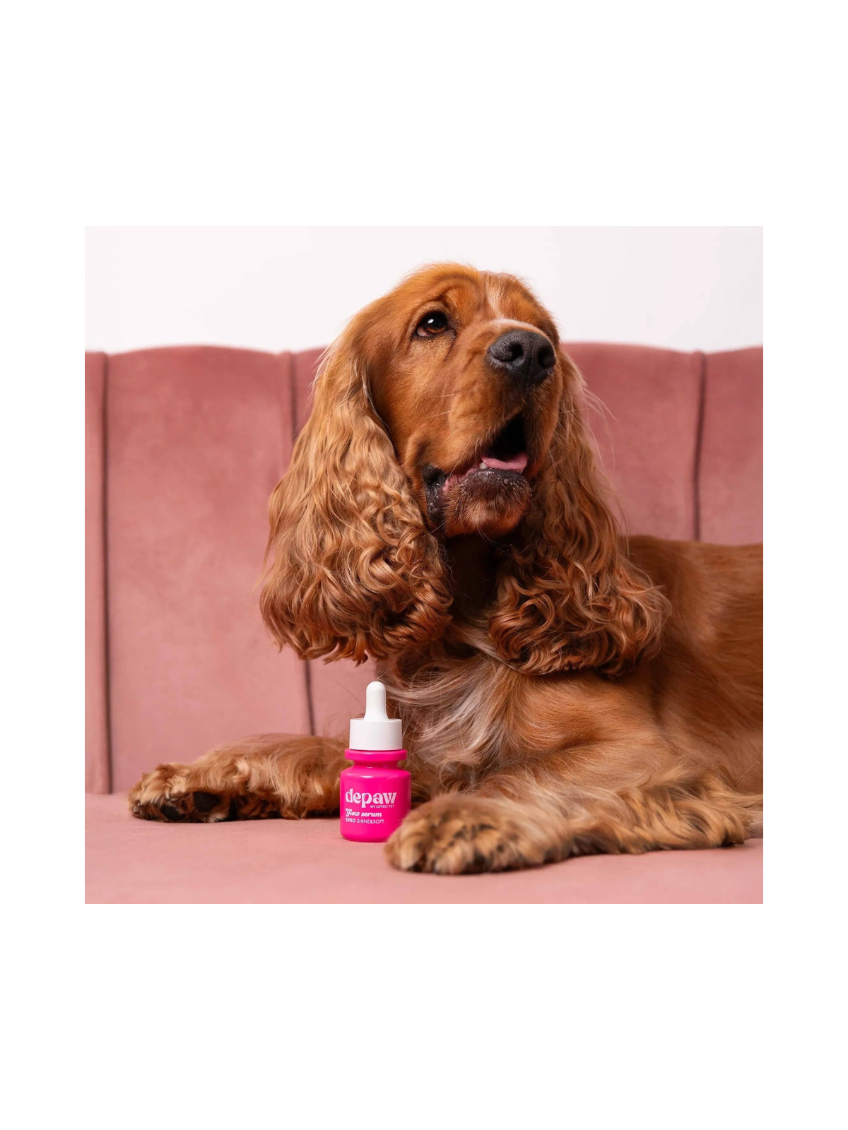 Glow Serum – Illuminating Coat Serum