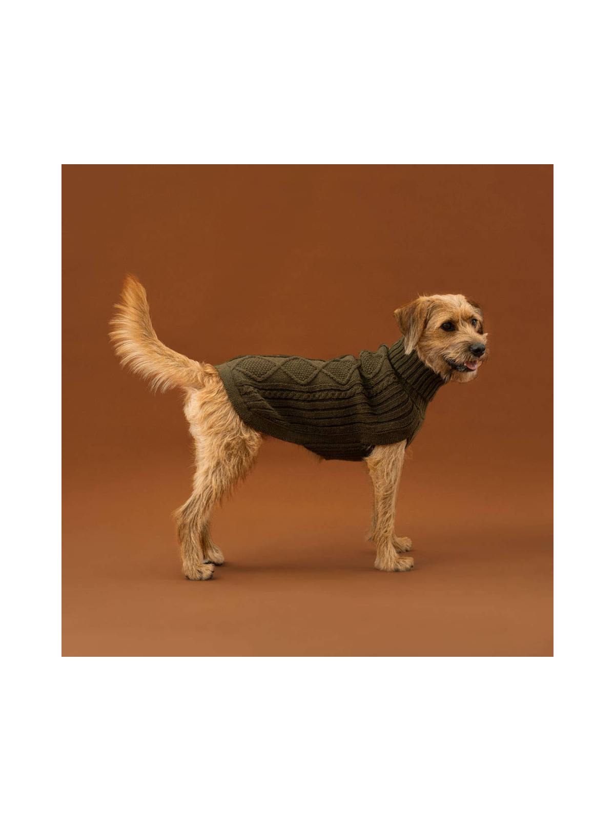 Aran Alpaca Dog Sweater – Forest Green