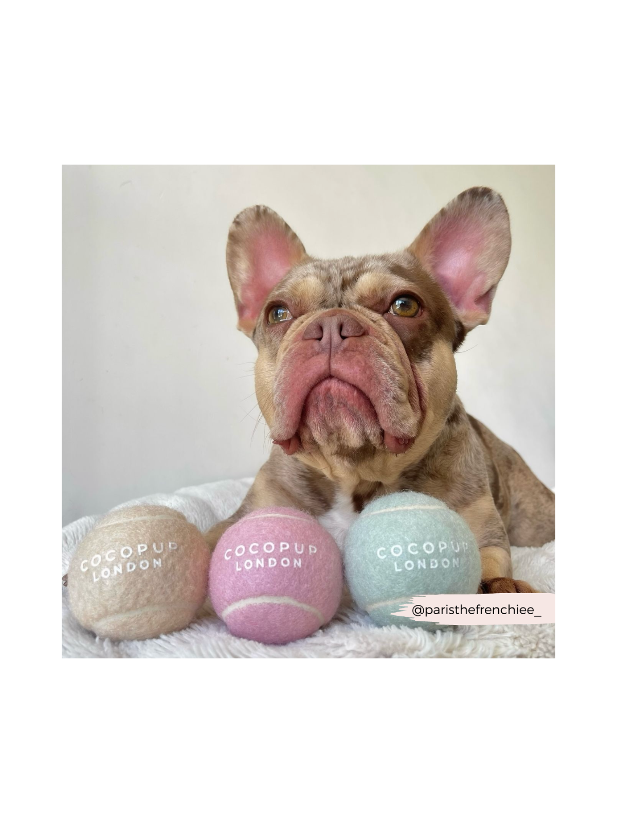 Tennis Ball – Strawberry Pink