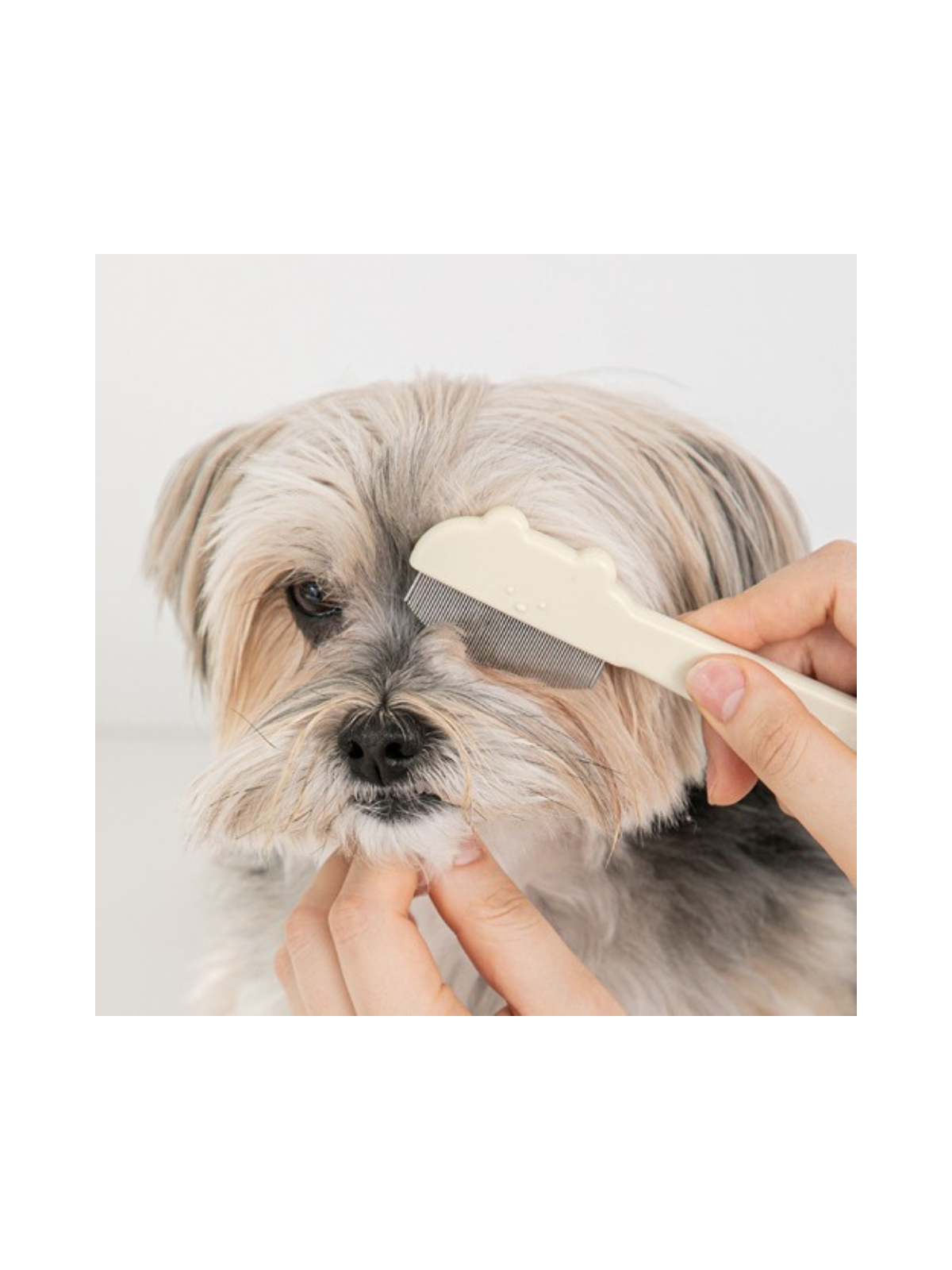 Jellybear Round Face Comb