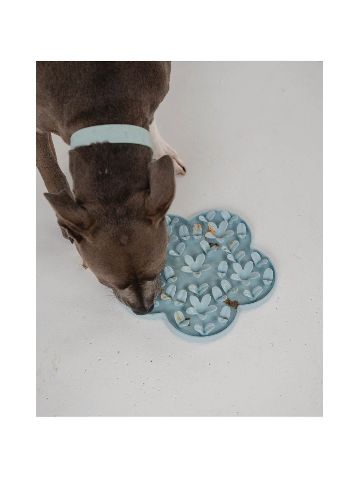Flower Enrichment Snuffle Mat – Blue