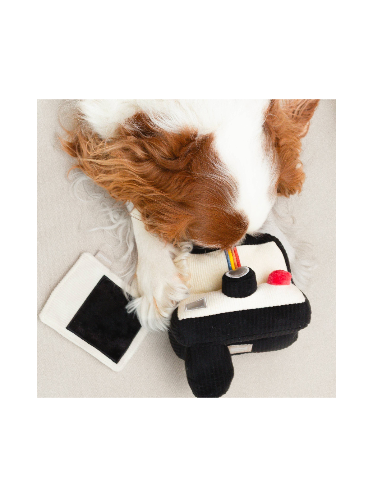 Instant Camera Snuffle Toy