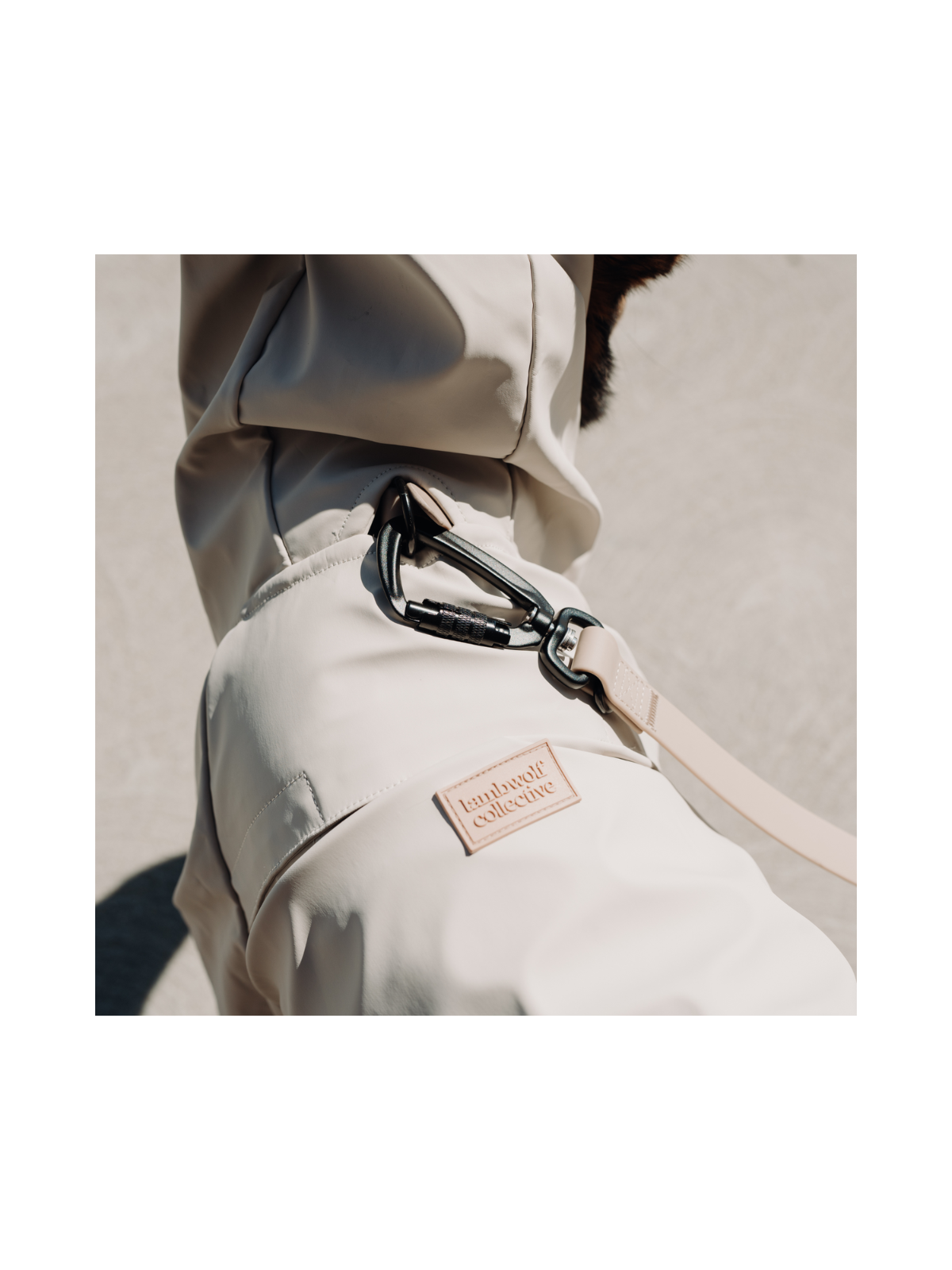 Brighton Packable Dog Rain Coat