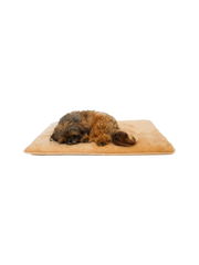 Crazy Warm Pet Pad