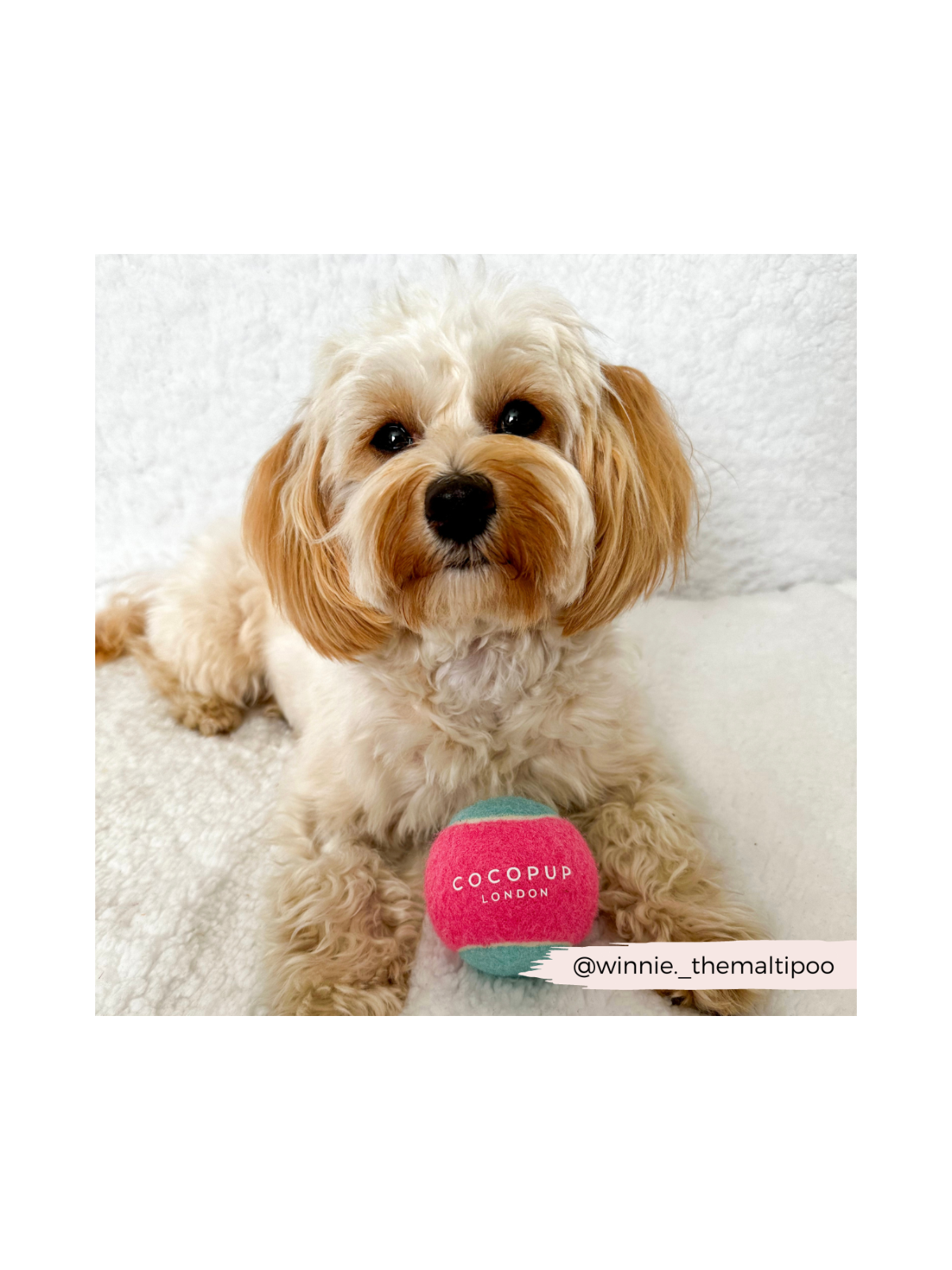 Tennis Ball – Pink & Blue
