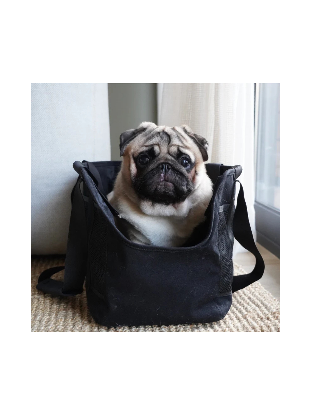 Subway Dog Carrier – Black