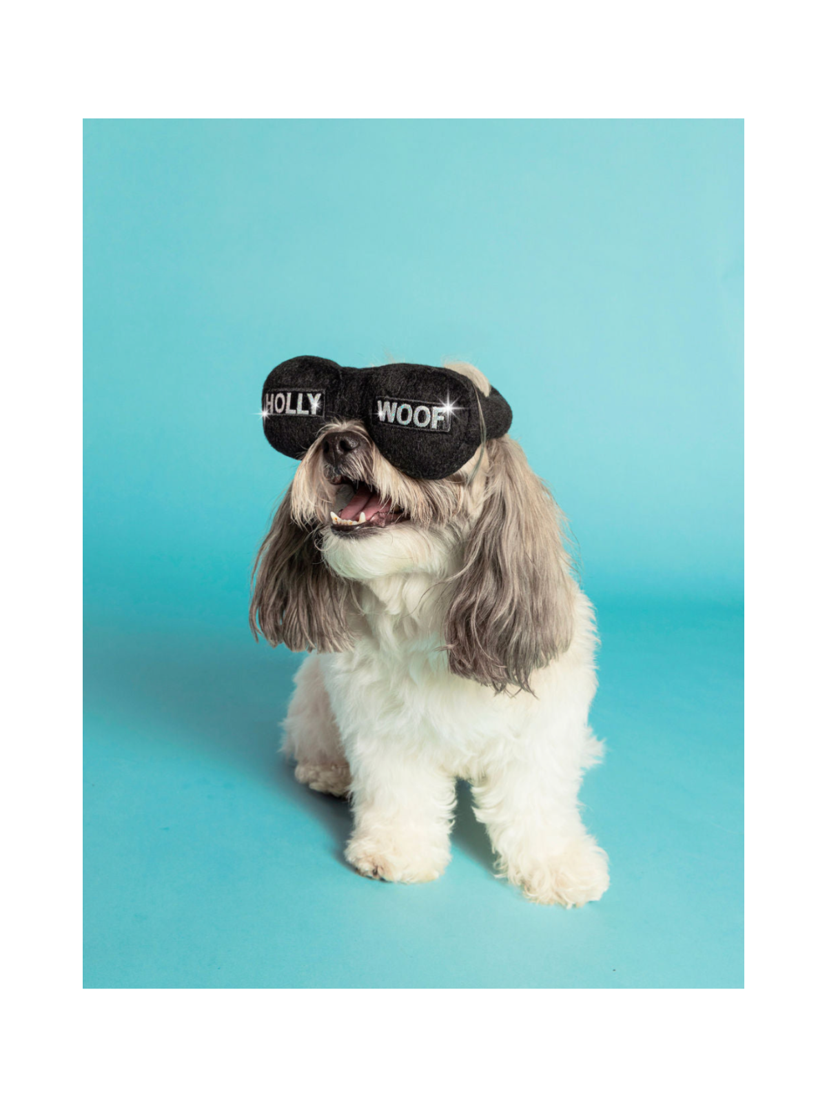 Glitz & Glam Glasses Dog Toy