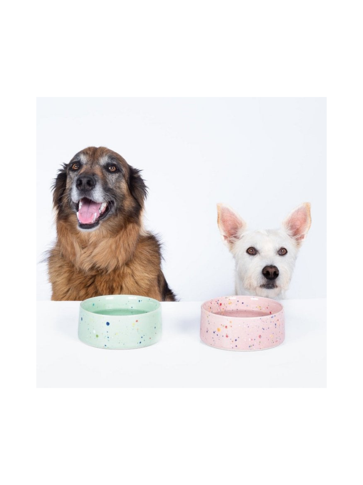 New Party Pet Bowl - Pink