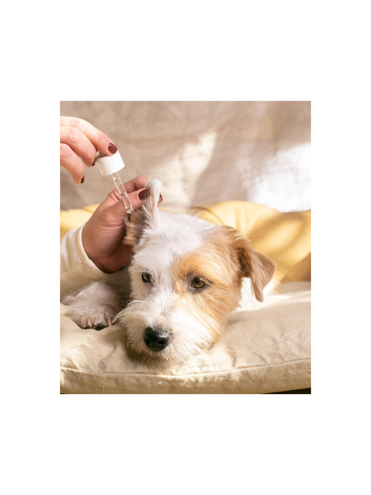 Ear Soothing Cleaner