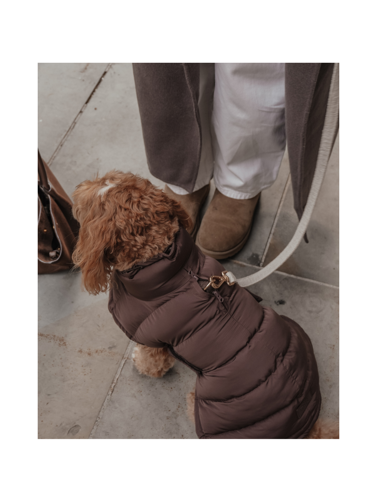 The Capsule Puffer Dog Coat – Chocolate