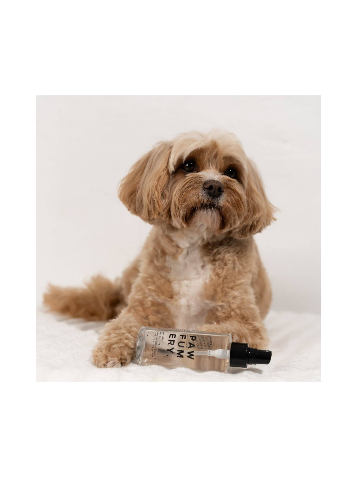 L'Baccarat Perfume Spray
