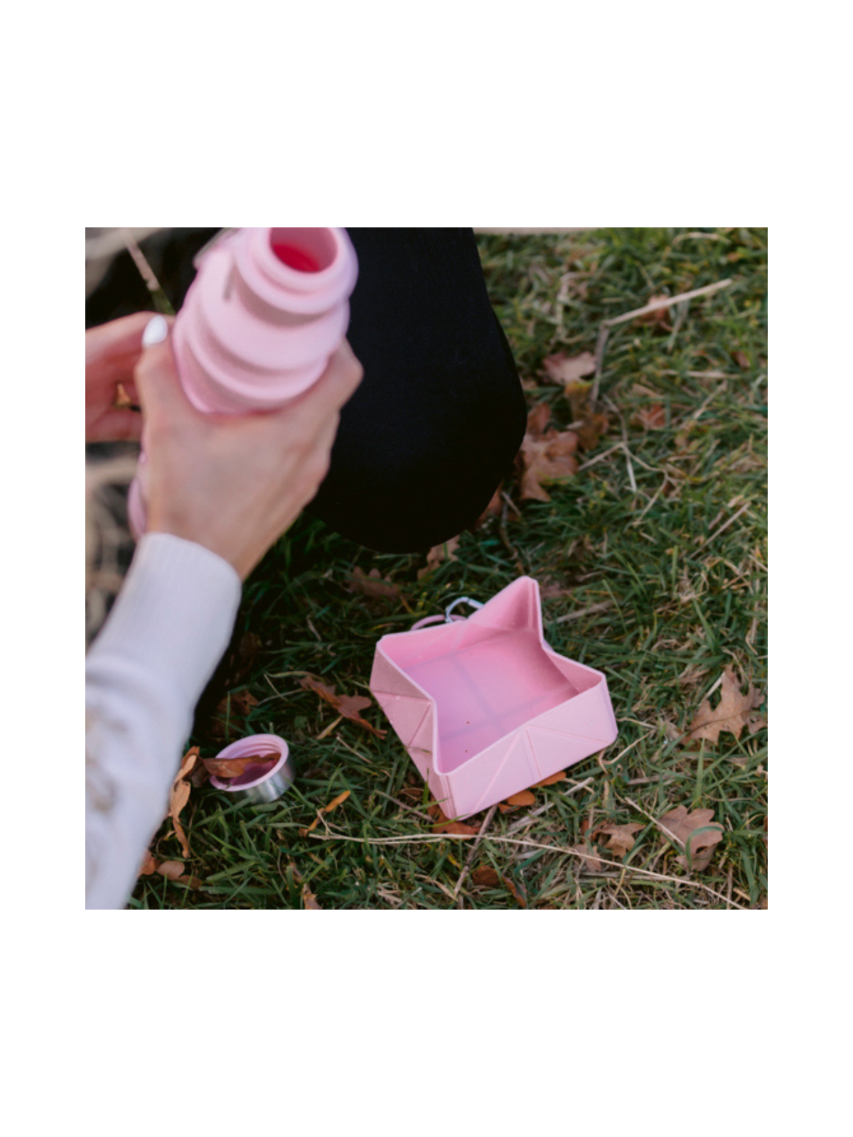 Foldable Travel Bowl - Pink