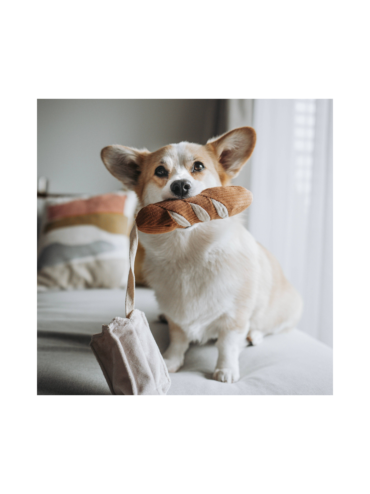 Mini Baguette Enrichment Toy
