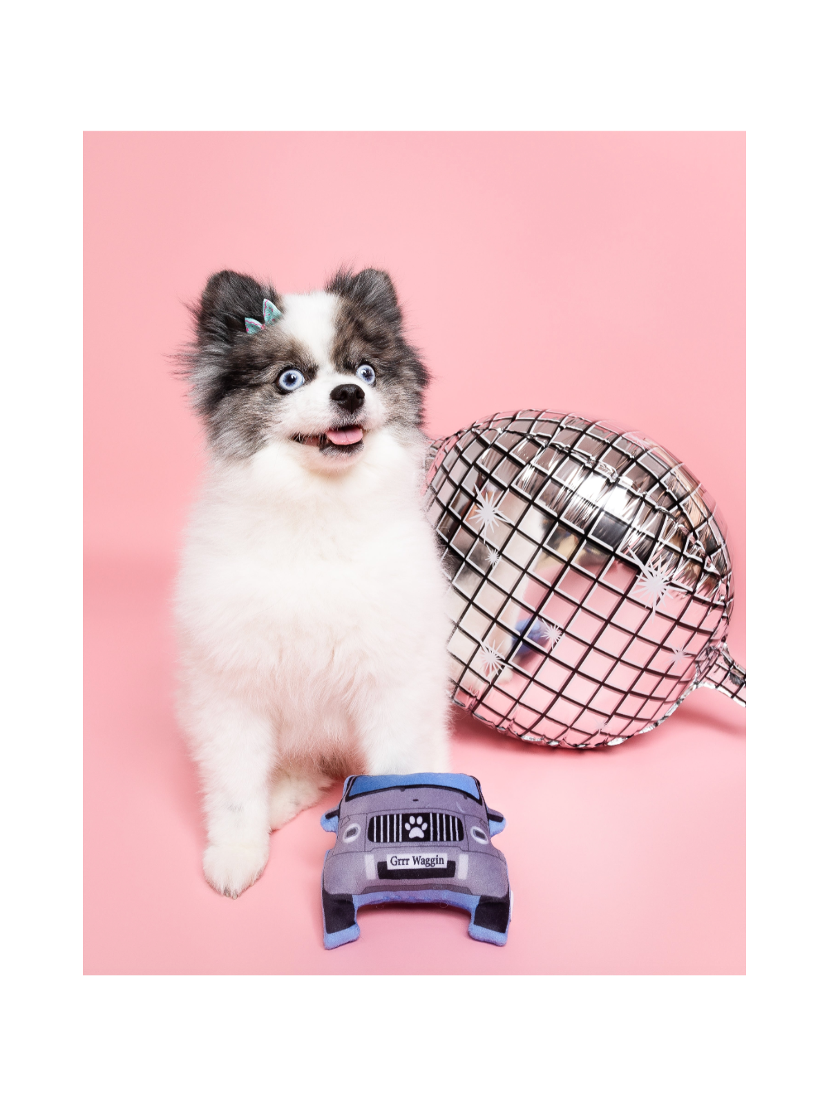 Grrr Waggin Dog Toy