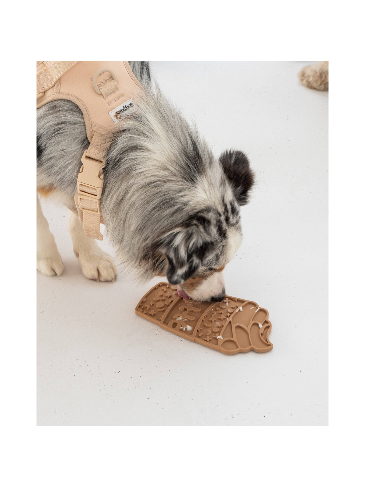Puppaccino Enrichment Lick Mat