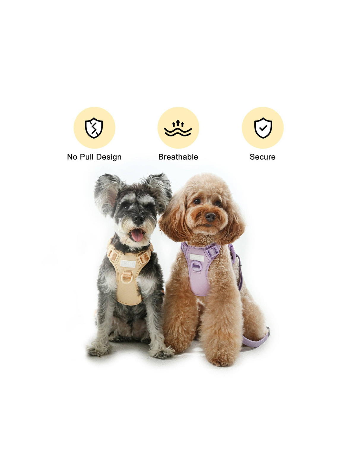 No Pull Active Dog Harness – Apricot