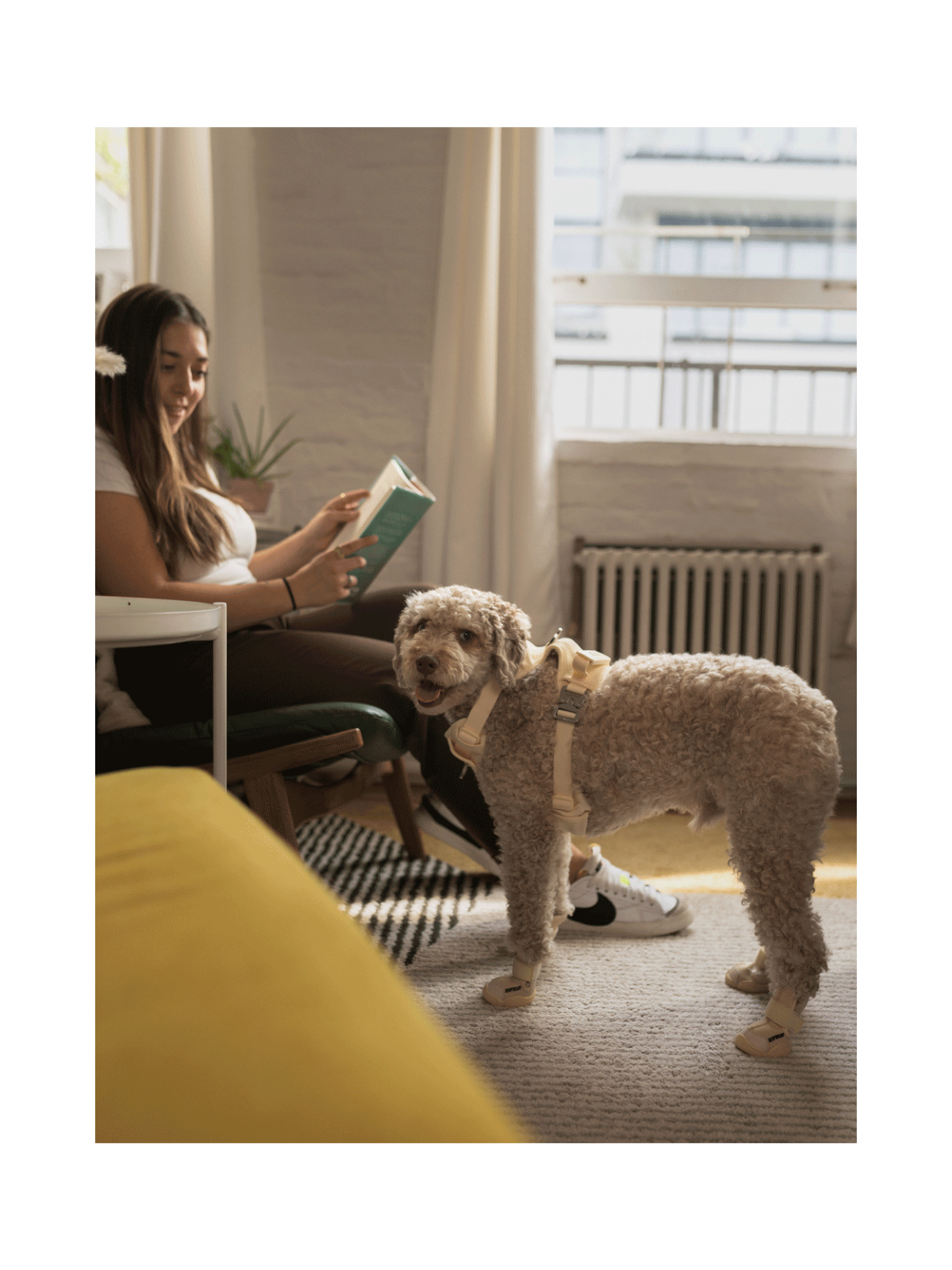 Caesar 1 Dog Sneaker – Bone