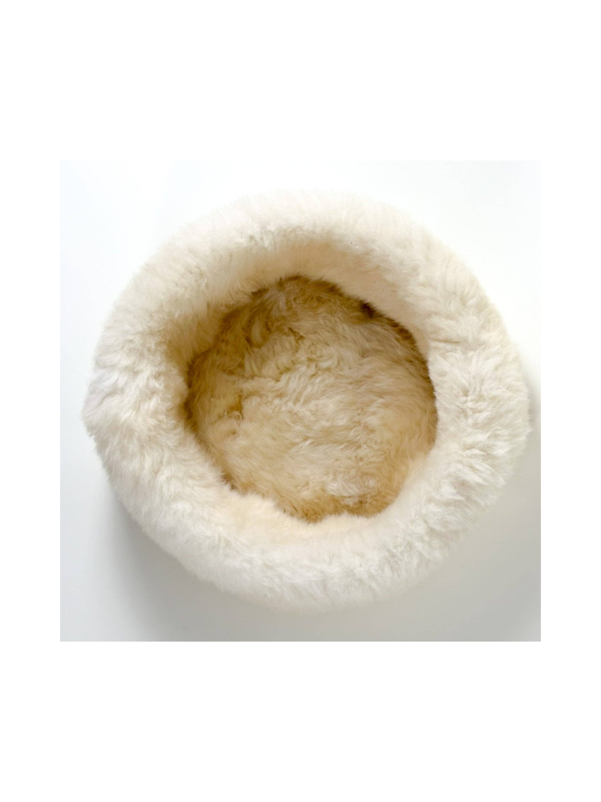 Sheep Donut Dog Bed – Shell Pearl