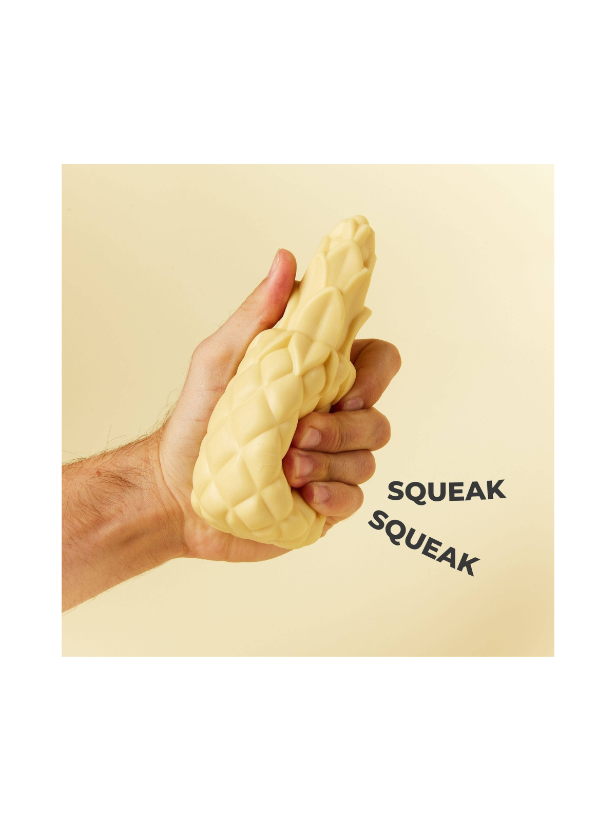 Pineapple Shaped Squeaky Dog Toy