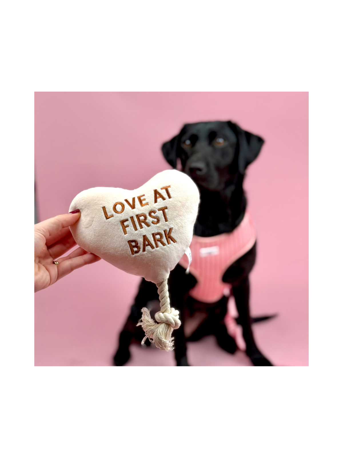 Love at First Bark Dog Toy